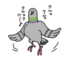 Pigeon sticker #509510