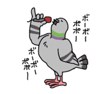 Pigeon sticker #509511