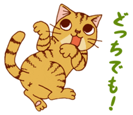 laid-back cat Chi-chan vol.1 sticker #510041