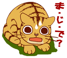 laid-back cat Chi-chan vol.1 sticker #510055