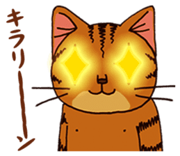 laid-back cat Chi-chan vol.1 sticker #510065