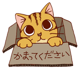 laid-back cat Chi-chan vol.1 sticker #510066
