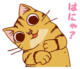 laid-back cat Chi-chan vol.1 sticker #510069