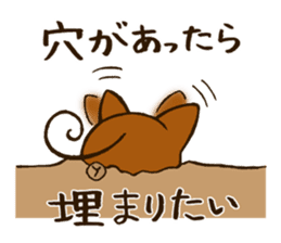 Reaction animals sticker #511006