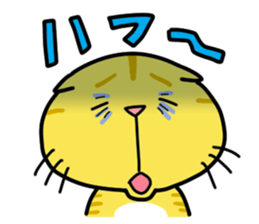 Everyday Kitten sticker #513253