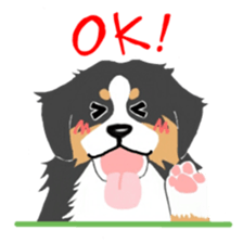 Bernese Mountain Dog sticker #516074
