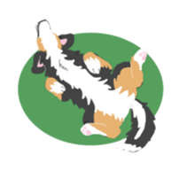 Bernese Mountain Dog sticker #516078