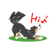 Bernese Mountain Dog sticker #516080