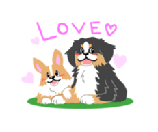Bernese Mountain Dog sticker #516084