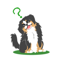 Bernese Mountain Dog sticker #516085