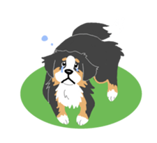 Bernese Mountain Dog sticker #516088