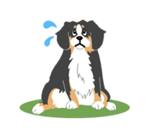 Bernese Mountain Dog sticker #516090