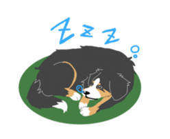 Bernese Mountain Dog sticker #516091