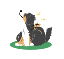 Bernese Mountain Dog sticker #516092