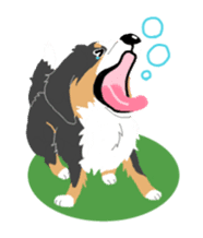 Bernese Mountain Dog sticker #516093