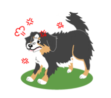 Bernese Mountain Dog sticker #516094