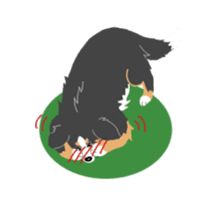 Bernese Mountain Dog sticker #516096