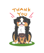 Bernese Mountain Dog sticker #516097