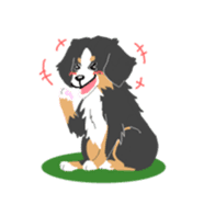 Bernese Mountain Dog sticker #516105