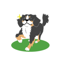 Bernese Mountain Dog sticker #516108