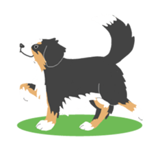 Bernese Mountain Dog sticker #516110