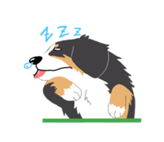 Bernese Mountain Dog sticker #516111