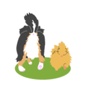 Bernese Mountain Dog sticker #516112