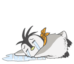 The Polar Sunset : Koco and Friends sticker #516858