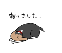 dogs sticker #516923