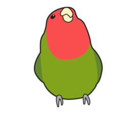 Pi-chan2 sticker #517761