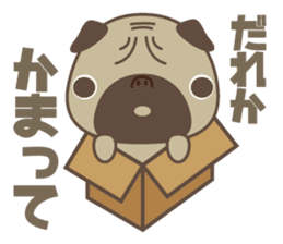 MATSU sticker #518092