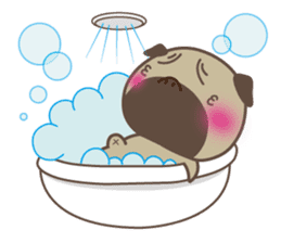 MATSU sticker #518105