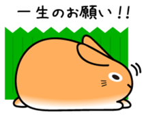 INARI sticker #518826