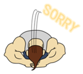 Bodybuilding sticker #519230