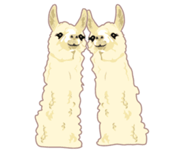 Funny alpaca and friends sticker #520845