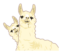 Funny alpaca and friends sticker #520855