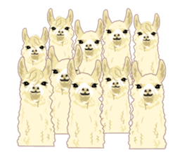 Funny alpaca and friends sticker #520872