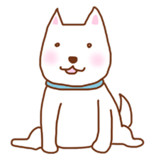 My lovely white dog Aru sticker #521795