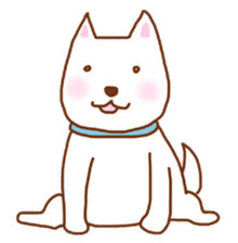 My lovely white dog Aru sticker #521795