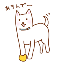 My lovely white dog Aru sticker #521809