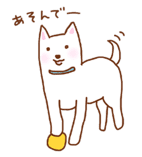 My lovely white dog Aru sticker #521809