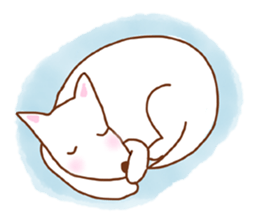 My lovely white dog Aru sticker #521816