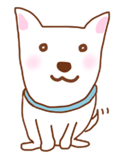 My lovely white dog Aru sticker #521821