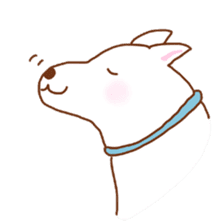 My lovely white dog Aru sticker #521827