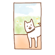 My lovely white dog Aru sticker #521830