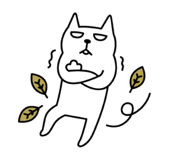 TOFU -White Cat- in English sticker #526715