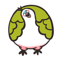 Fresh! Cabbage Bird sticker #528453