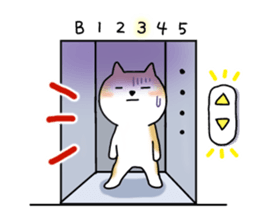 Maru sticker #529511