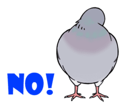 Cute Pigeon sticker #530051