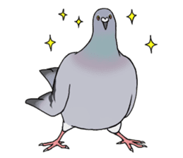 Cute Pigeon sticker #530052